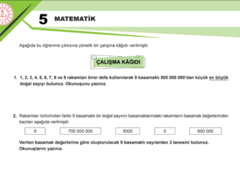 5.Sınıf MEB Çok Basamaklı Sayıları Okuma ve Yazma Çalışma Kağıdı