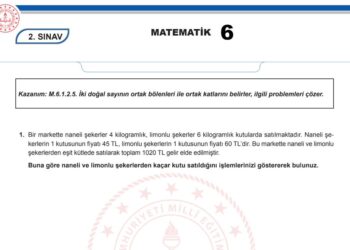 2024 – 2025 6.Sınıf Matematik MEB 1.Dönem 2.Yazılı Örneği