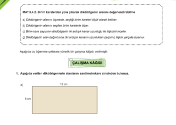 5.Sınıf MEB Dikdörtgenin Alanı Çalışma Kağıdı
