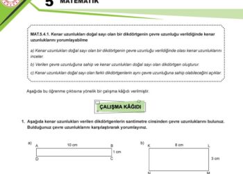 5.Sınıf MEB Dikdörtgenin Çevre Uzunluğu Çalışma Kağıdı