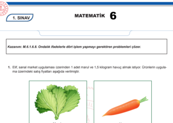 2024 – 2025 6.Sınıf Matematik MEB 2.Dönem 1.Yazılı Örneği