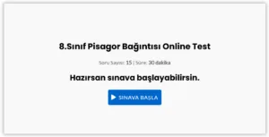 8.Sınıf Pisagor Bağıntısı Online Test