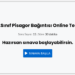 8.Sınıf Pisagor Bağıntısı Online Test 3 8.Sınıf Pisagor Bağıntısı Online Test