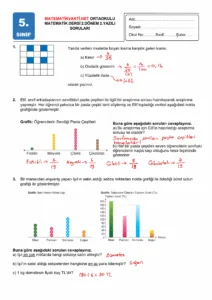2024 - 2025 5.Sınıf Matematik 2.Dönem 2.Yazılı Soruları