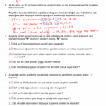 2025 – 2026 6.Sınıf Matematik 1.Dönem 1.Yazılı Soruları