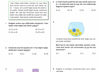 Matematik Plus 8.Sınıf Aralarında Asal Sayılar Testi