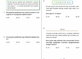 Matematik Plus 8.Sınıf Çarpanlar ve Katlar Testleri