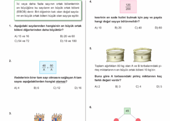 Matematik Plus 8.Sınıf EBOB – EKOK Testleri