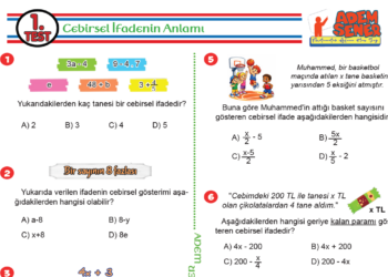 6.Sınıf Cebirsel İfadeler Testi Adem Şener
